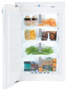 đặc điểm Tủ lạnh Liebherr IGN 1654 ảnh