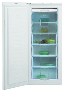 kjennetegn Kjøleskap BEKO FSA 21300 Bilde
