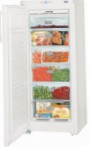 Liebherr GNP 2313 Tủ lạnh tủ đông cái tủ