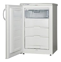 đặc điểm Tủ lạnh Snaige F100-1101A ảnh