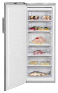 Charakteristik Kühlschrank BEKO FS 225320 X Foto