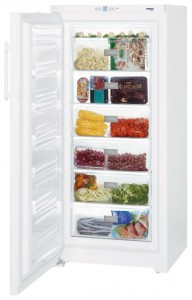 Характеристики Холодильник Liebherr GP 3013 фото