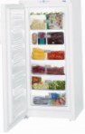 Liebherr GP 3013 Холодильник морозильний-шафа