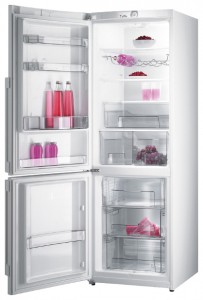 Charakteristik Kühlschrank Gorenje RK 65 SYW Foto