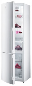 Charakteristik Kühlschrank Gorenje RK 65 SYW2 Foto