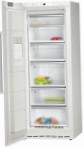 Siemens GS24NA23 Frigo freezer armadio