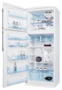 katangian Refrigerator Electrolux END 44501 W larawan
