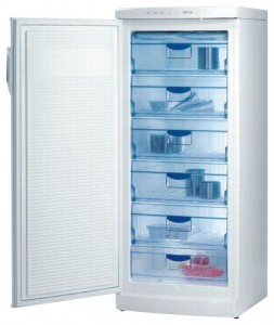đặc điểm Tủ lạnh Gorenje F 6243 W ảnh