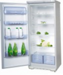 Бирюса 542 KL Refrigerator refrigerator na walang freezer