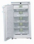 Liebherr GSNP 2026 Холодильник морозильний-шафа
