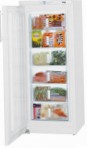 Liebherr G 2433 Холодильник морозильний-шафа