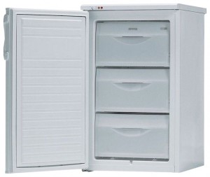 katangian Refrigerator Gorenje F 3101 W larawan