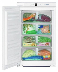 katangian Refrigerator Liebherr IGS 1101 larawan