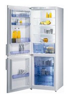 Charakteristik Kühlschrank Gorenje RK 60355 DW Foto
