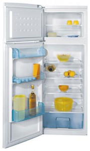 Charakteristik Kühlschrank BEKO DSA 25010 Foto