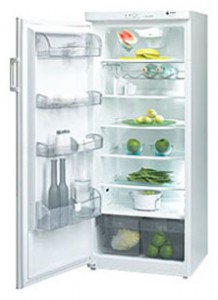 özellikleri Buzdolabı Fagor 1FSC-18 EL fotoğraf