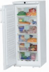 Liebherr G 2413 Frigorífico congelador-armário