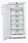 Liebherr GN 2413 Hűtő fagyasztó-szekrény
