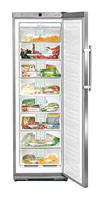 katangian Refrigerator Liebherr GNes 2866 larawan