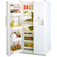 Характеристики Холодильник General Electric TPG21PRBB фото