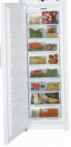 Liebherr GN 4113 Холодильник морозильний-шафа
