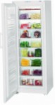 Liebherr G 4013 Frigo freezer armadio