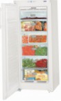 Liebherr GN 2323 冰箱 冰箱，橱柜