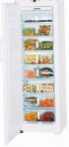 Liebherr GN 3023 Refrigerator aparador ng freezer