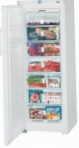 Liebherr GNP 2756 冰箱 冰箱，橱柜