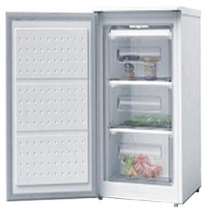 характеристики Холодильник Wellton GF-80 Фото