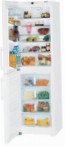 Liebherr CN 3913 Refrigerator freezer sa refrigerator