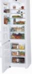 Liebherr CBN 3913 šaldytuvas šaldytuvas su šaldikliu