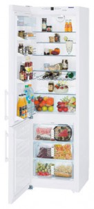Charakteristik Kühlschrank Liebherr CN 4013 Foto