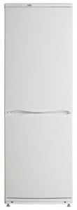 характеристики Холодильник ATLANT ХМ 6024-031 Фото