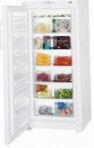 Liebherr G 3013 Frigo freezer armadio