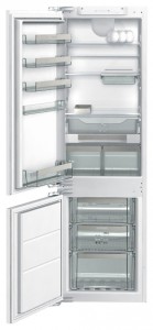 katangian Refrigerator Gorenje GDC 67178 FN larawan