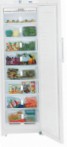 Liebherr SGN 3010 Холодильник морозильний-шафа
