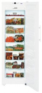 katangian Refrigerator Liebherr SGN 3063 larawan