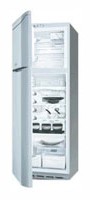 Charakteristik Kühlschrank Hotpoint-Ariston MTB 4559 NF Foto