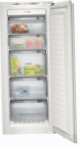 Siemens GI25NP60 Холодильник морозильник-шкаф