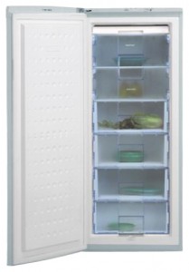 özellikleri Buzdolabı BEKO FSA 21320 fotoğraf