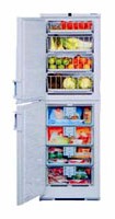 katangian Refrigerator Liebherr BGND 2986 larawan