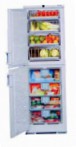 Liebherr BGND 2986 Frižider hladnjak sa zamrzivačem