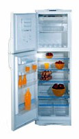 özellikleri Buzdolabı Indesit RA 36 fotoğraf