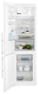 Charakteristik Kühlschrank Electrolux EN 93852 KW Foto