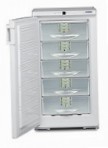 Liebherr GSS 2226 冷蔵庫 冷凍庫、食器棚