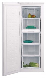 kjennetegn Kjøleskap BEKO FSE 21906 Bilde