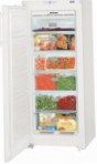 Liebherr GNP 2303 Hűtő fagyasztó-szekrény