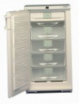 Liebherr GSN 2023 Frigo freezer armadio