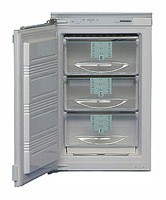 Характеристики Холодильник Liebherr GI 1023 фото
